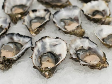 ৭. ঝিনুক: 