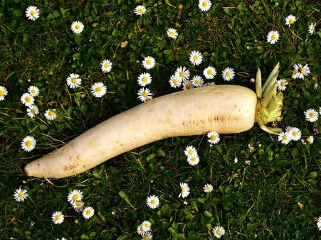 ২. শরীরে অন্দরে প্রদাহ কমায়: ২. শরীরে অন্দরে প্রদাহ কমায়: