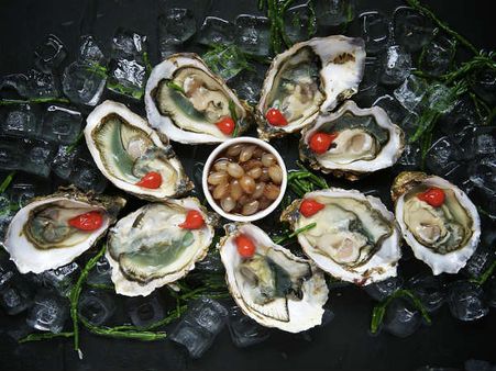 ৬. ঝিনুক: