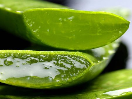 ৪. অ্যালোভেরা এবং লেবু: ৪. অ্যালোভেরা এবং লেবু: