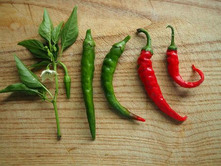 ২.ক্যান্সার রোগকে দূরে রাখে: