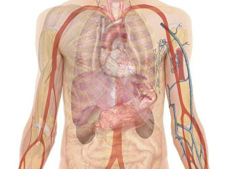 ১০. কিডনি ফাংশনের উন্নতি ঘটবে: