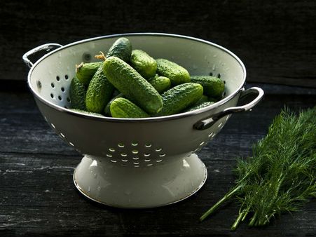 ৭. শসা: ৭. শসা: