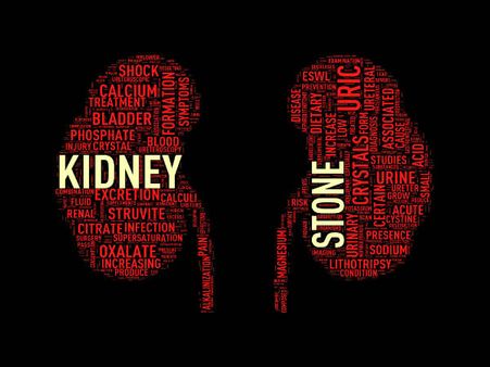 ৭. কিডনির কর্মক্ষমতা বাড়ায়: ৭. কিডনির কর্মক্ষমতা বাড়ায়: