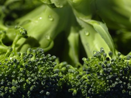 ১. ক্যান্সার রোগকে প্রতিরোধ করে: ১. ক্যান্সার রোগকে প্রতিরোধ করে: