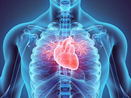 ৮. হার্টের স্বাস্থ্যের উন্নতি ঘটে: ৮. হার্টের স্বাস্থ্যের উন্নতি ঘটে: