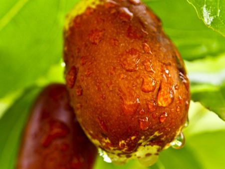 ১০. অ্যালার্জির প্রকোপ কমায়: ১০. অ্যালার্জির প্রকোপ কমায়: