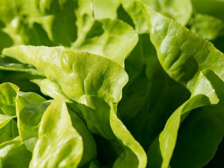 ১. শরীরে প্রদাহের মাত্রা কমে: ১. শরীরে প্রদাহের মাত্রা কমে: