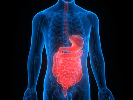 ৬.লিভার এবং কিডনি ক্যান্সার: ৬.লিভার এবং কিডনি ক্যান্সার: