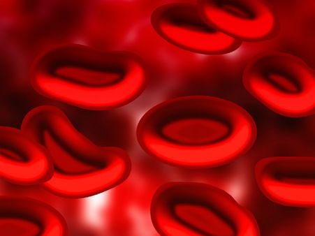 ২. ক্র্যানবেরির মতো লাল: ২. ক্র্যানবেরির মতো লাল: