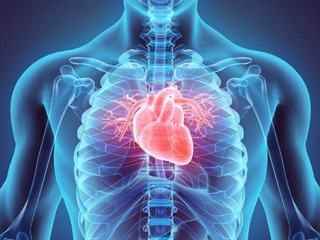 ১. হর্টের স্বাস্থ্যের উন্নতি ঘটায়: