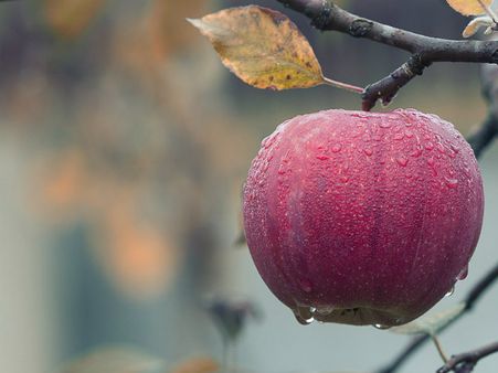 ১. ফ্লরোইড: ১. ফ্লরোইড: