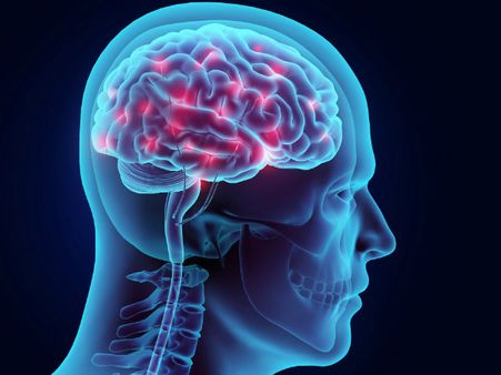 ৩. ব্রেন পাওয়ার বৃদ্ধি পায়: ৩. ব্রেন পাওয়ার বৃদ্ধি পায়: