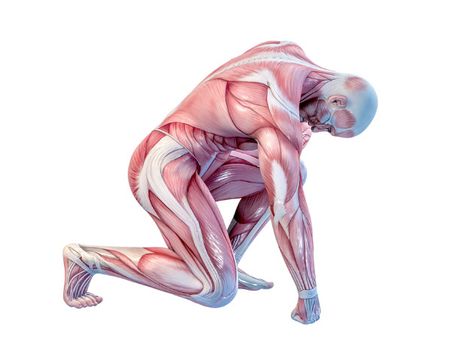 ৪. জয়েন্টের সচলতা বৃদ্ধি পায়: ৪. জয়েন্টের সচলতা বৃদ্ধি পায়: