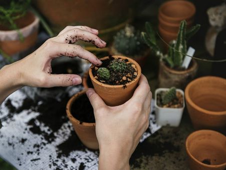 ৭.সম্পর্ক যেন সকল গণ্ডি পেরোয়: