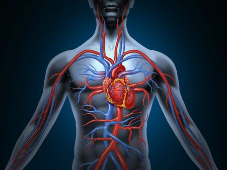 ৩. ইনফ্লেমেশনের মাত্রা কমে: