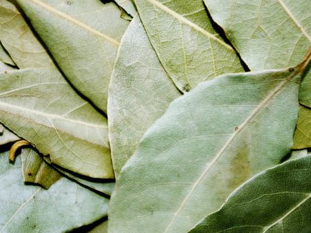 ১. রেসপিরেটরি কন্ডিশনের উন্নতি ঘটায়: