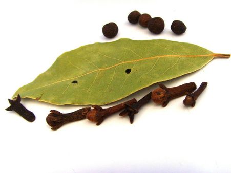 ৮. কিডনি স্টোনের চিকিৎসায় কাজে লাগে: