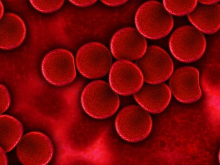 ১. অ্যানিমিয়ার প্রকোপ কমায়: ১. অ্যানিমিয়ার প্রকোপ কমায়: