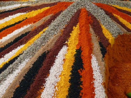 ৩. থাইম গুল্ম: ৩. থাইম গুল্ম: