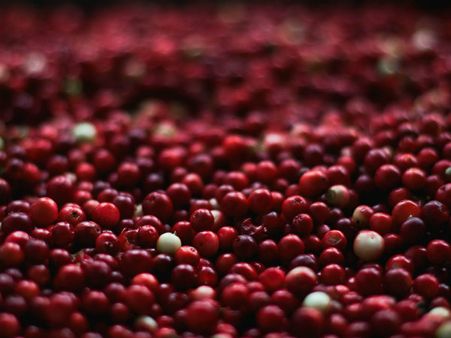২. ক্র্যানবেরি:
