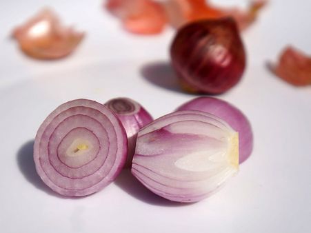 ৮. পোকা মাকড়দের দূরে রাখে: ৮. পোকা মাকড়দের দূরে রাখে: