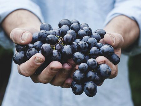 ১. সূর্যের ক্ষতিকর প্রভাব থেকে ত্বককে বাঁচায়: