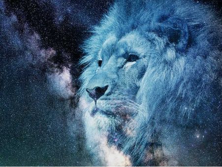 ৫. সিংহ (লিও):