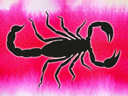 ৮. বৃশ্চিক (স্কর্পিও):