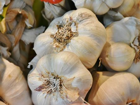 ৫. রসুন: ৫. রসুন: