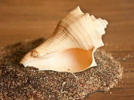 ৪. দূরত্ব থাকা জরুরি: