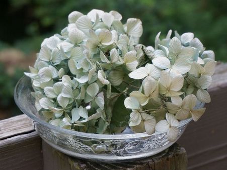 ১. কাঁচের পাত্র: