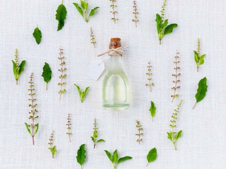 ১০. রোজমেরি: