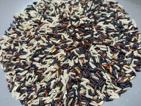 ১০. কমপ্লেক্স কার্বোহাইড্রেট: