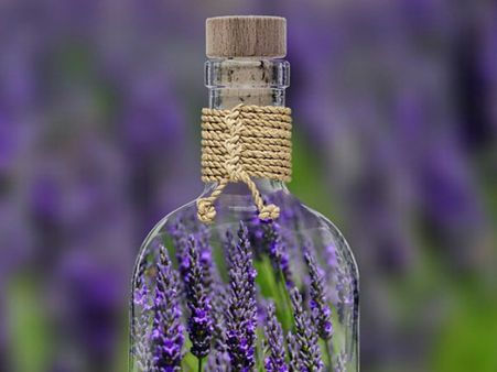 ১১. ল্যাভেন্ডার: