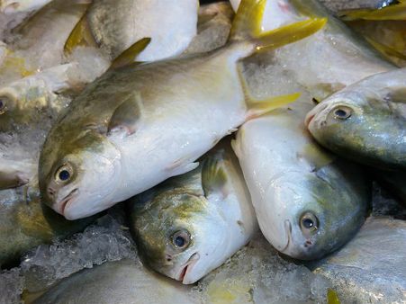 ৩. সামদ্রিক মাছ: