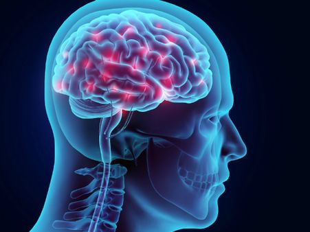 ২. বুদ্ধি এবং স্মৃতিশক্তি বৃদ্ধি পায়: ২. বুদ্ধি এবং স্মৃতিশক্তি বৃদ্ধি পায়: