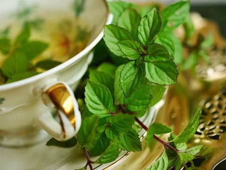 ৩. মিন্ট পাতা: ৩. মিন্ট পাতা: