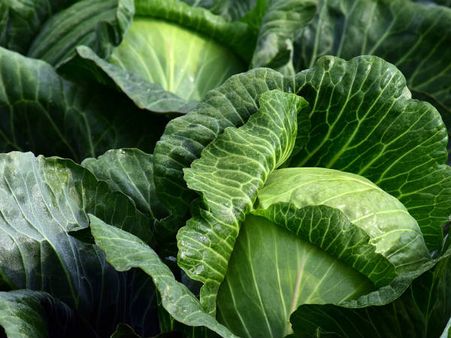 ৪. শরীরে পুষ্টির ঘাটতি দূর হয়: