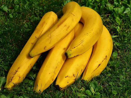 ৮. কলা: ৮. কলা: