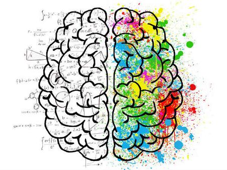 ৮. মস্তিষ্কের দুই দিকের ক্ষমতাই বৃদ্ধি পায়: ৮. মস্তিষ্কের দুই দিকের ক্ষমতাই বৃদ্ধি পায়: