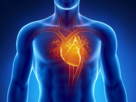 ৯. হার্ট চাঙ্গা হয়ে ওঠে: ৯. হার্ট চাঙ্গা হয়ে ওঠে: