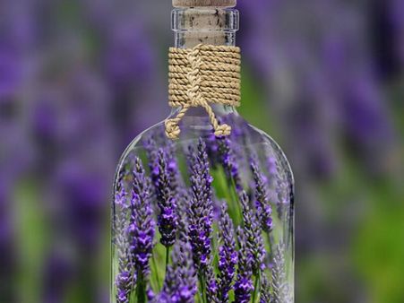 ৩. ল্যাভেন্ডার: