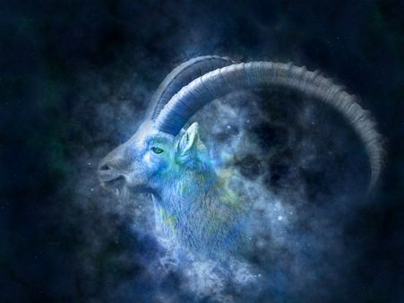 ১০. মকর (ক্যাপ্রিকর্ন):