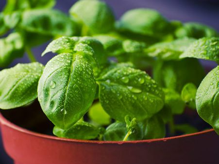 ১. শরীর এবং মন শুদ্ধ হয়: