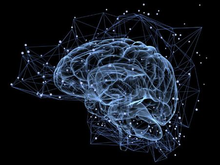 ১০. ব্রেনের কর্মক্ষমতা বৃদ্ধি পায়: