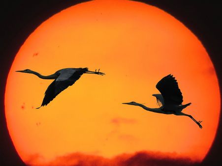 ১০. মনের সব ইচ্ছা পূরণ হয়: