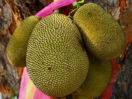 ১১. ভিটামিন এ-এর ঘাটতি মেটে: