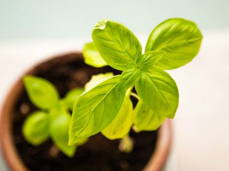 ১২. কিডনি স্টোন: