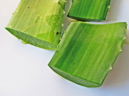 ২. অ্যালো ভেরা: 